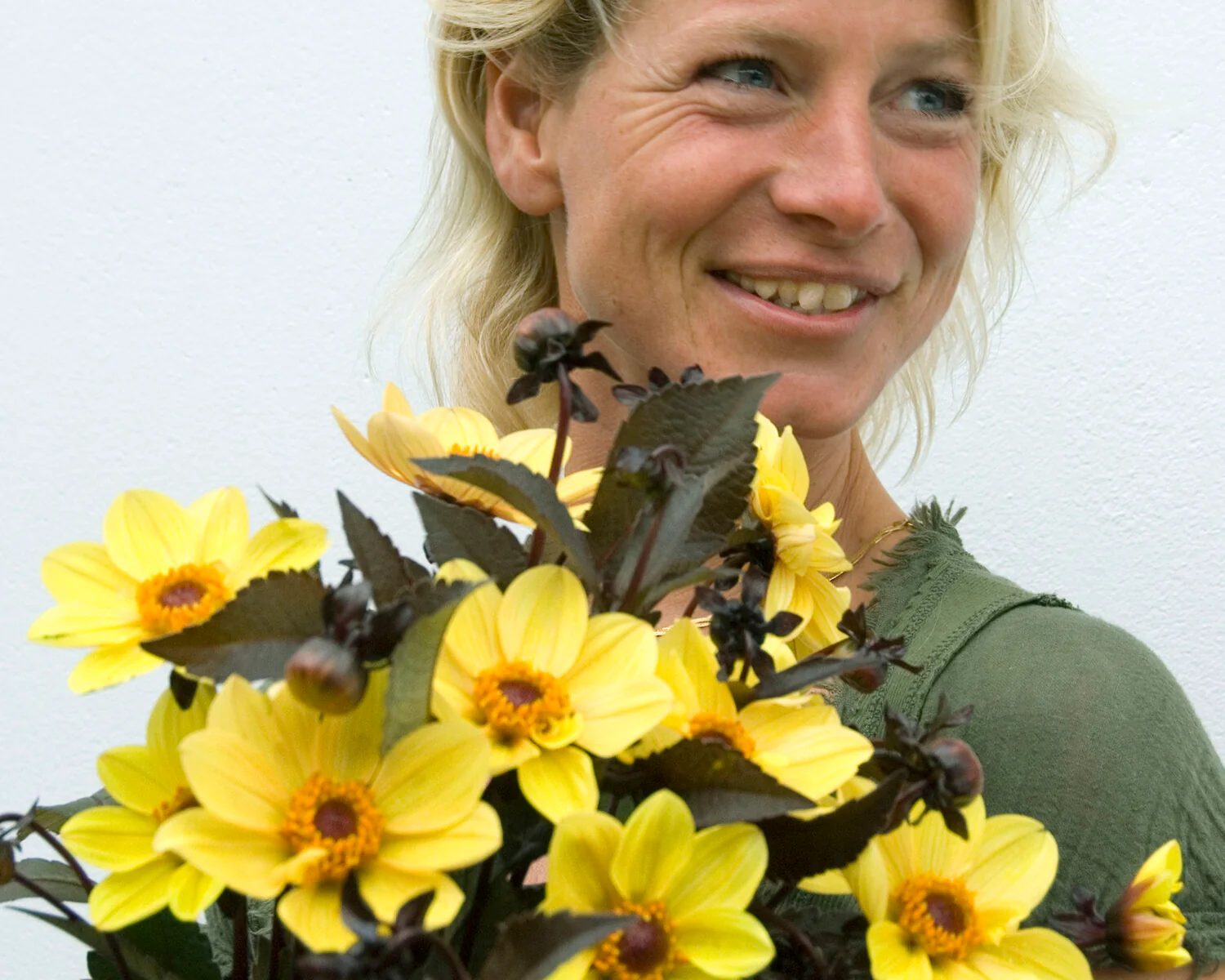 Dahlia 'HS Party' - Image 4