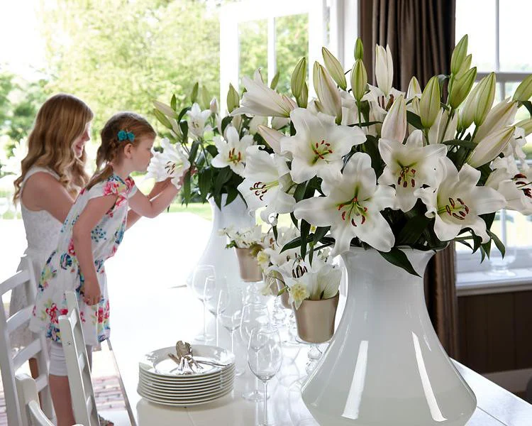 Lily 'Bright Diamond' - Image 2