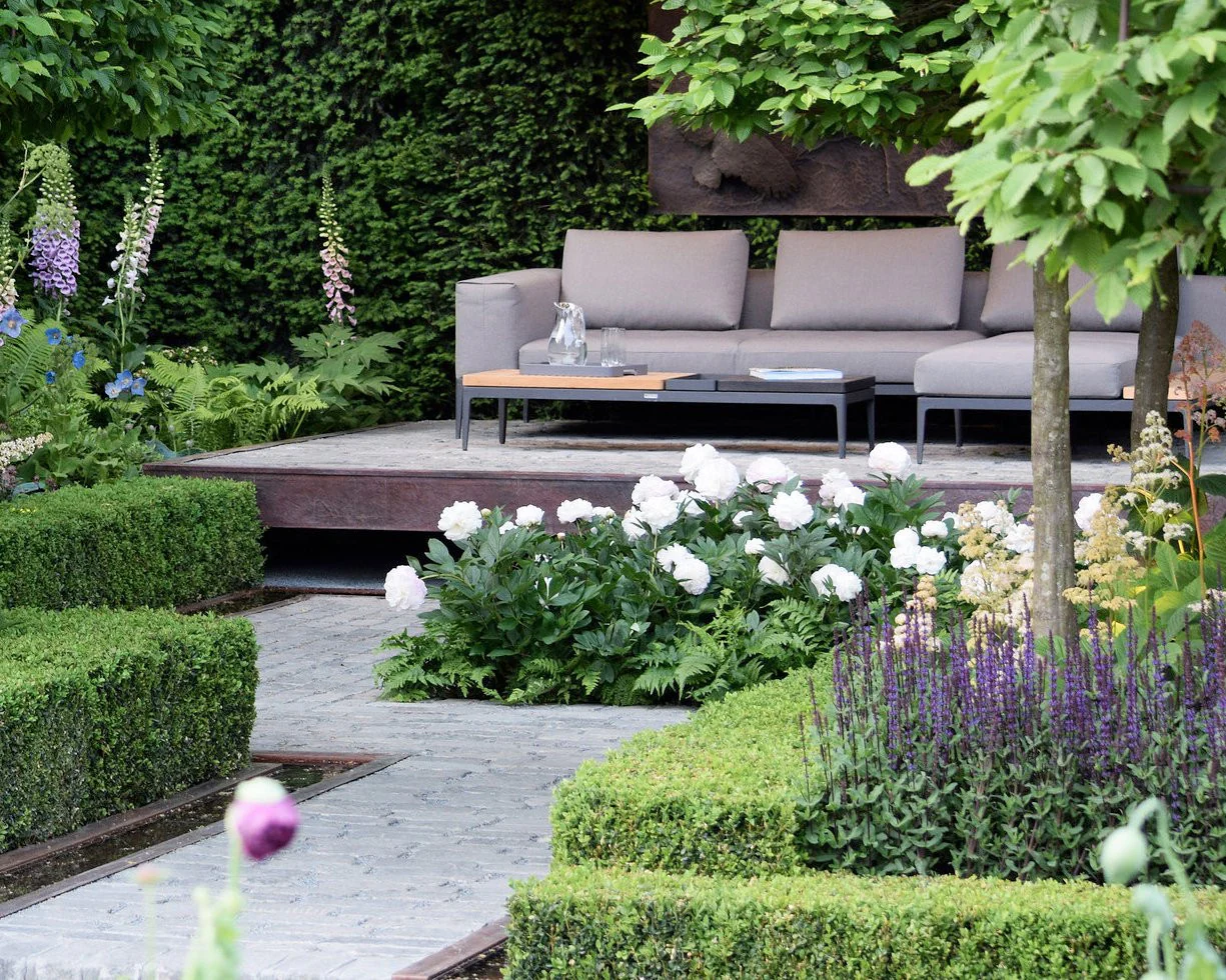 Paeonia 'Shirley Temple' - Image 4